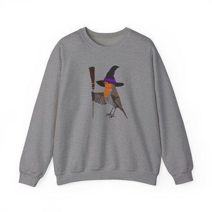 Robin Halloween Witch Birdwatcher Biologist Bird Sweatshirt
