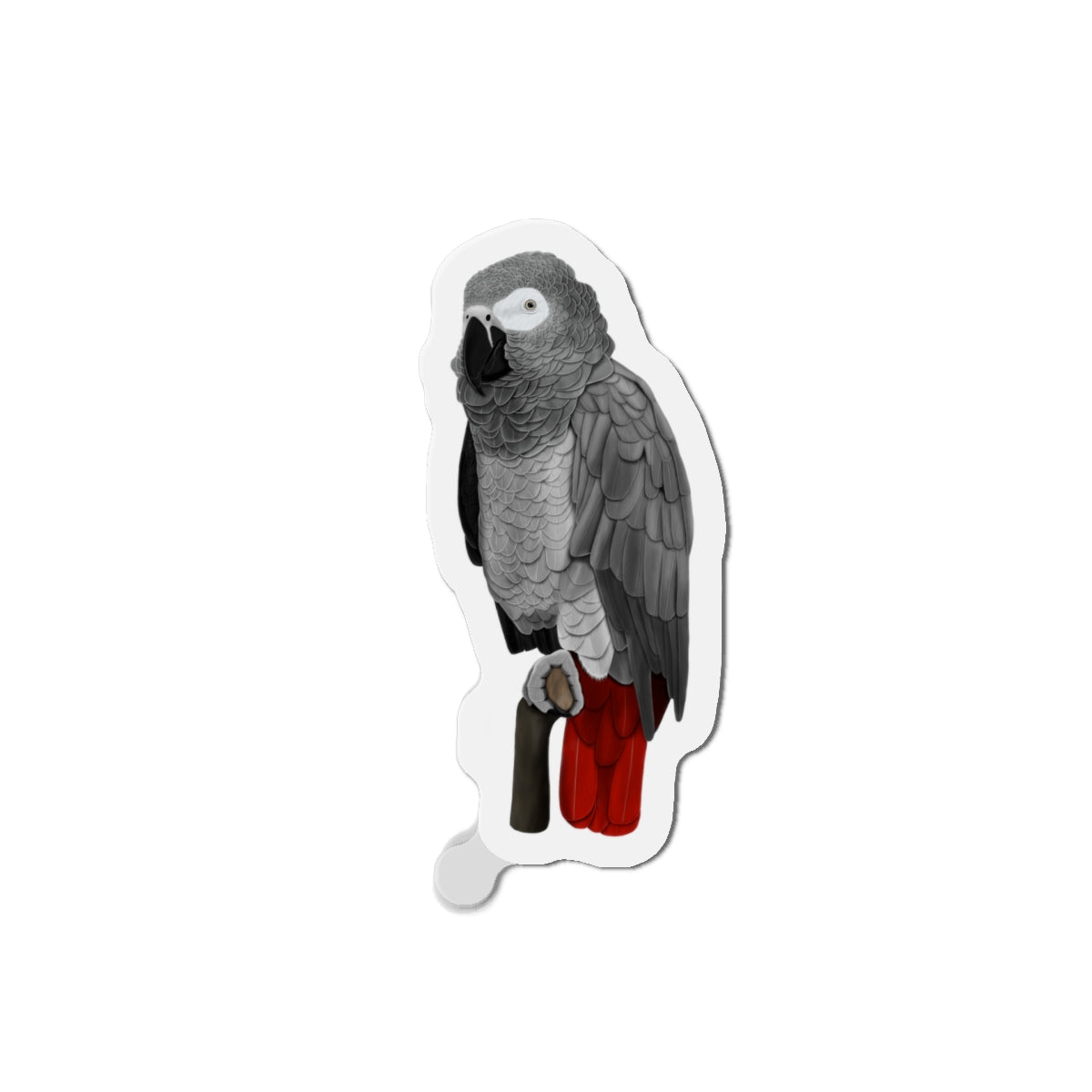 Grey Parrot Bird Magnet – Home Decor