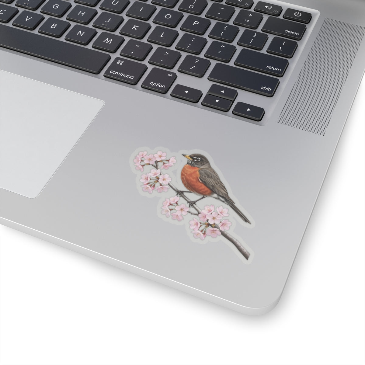 American Robin Cherry Blossom Sticker | Glossy Floral Bird Decal | Spring Laptop Sticker