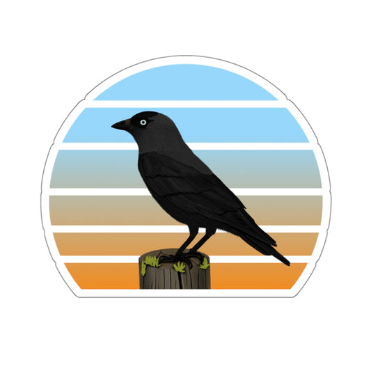 Jackdaw Bird Sticker