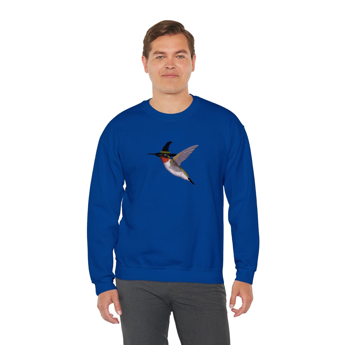 Hummingbird Halloween Birds Witch Birdwatcher Sweatshirt