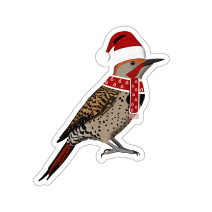 Northern Flicker with Santa Claus Hat and Scarf Christmas Bird Sticker