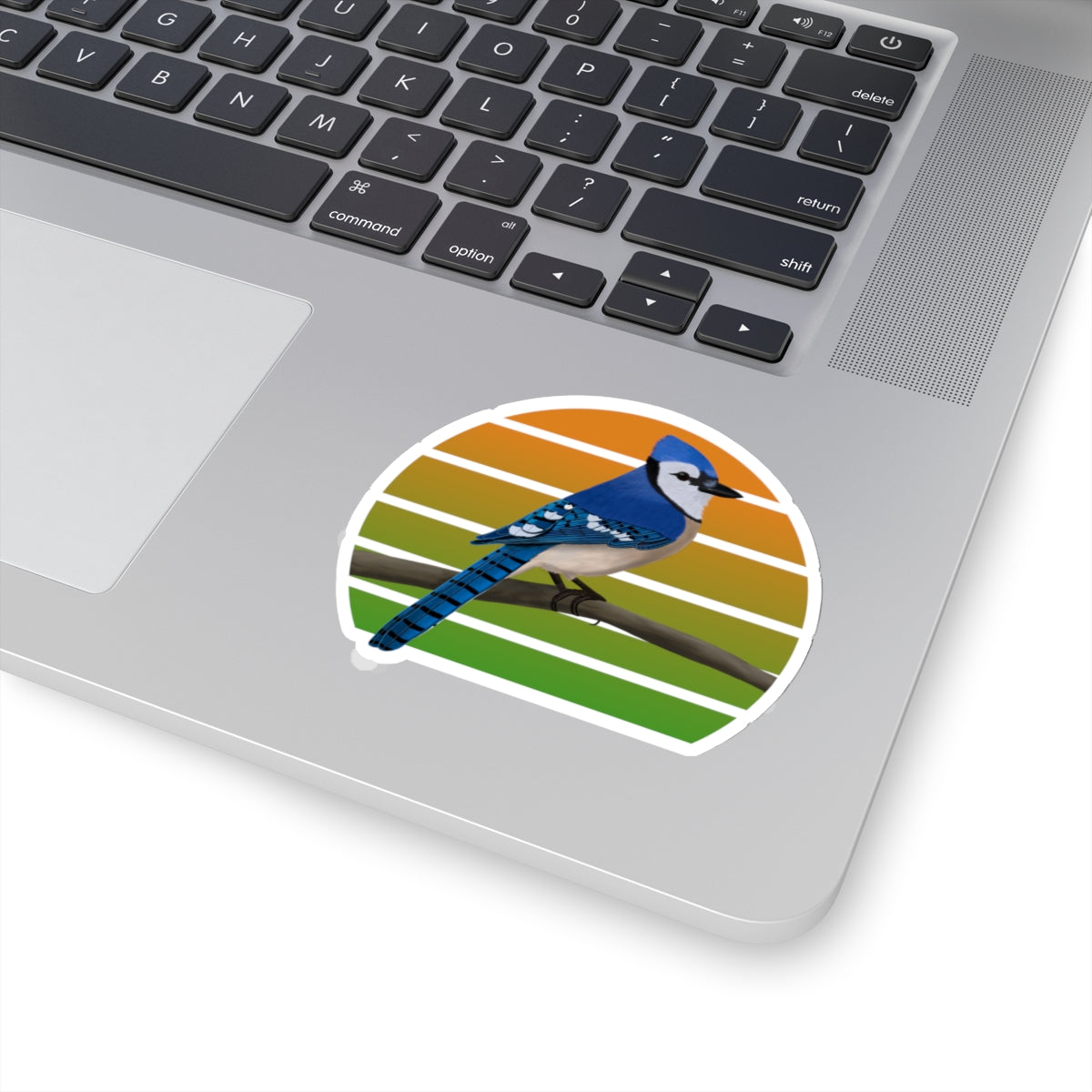 Blue Jay Bird Sticker