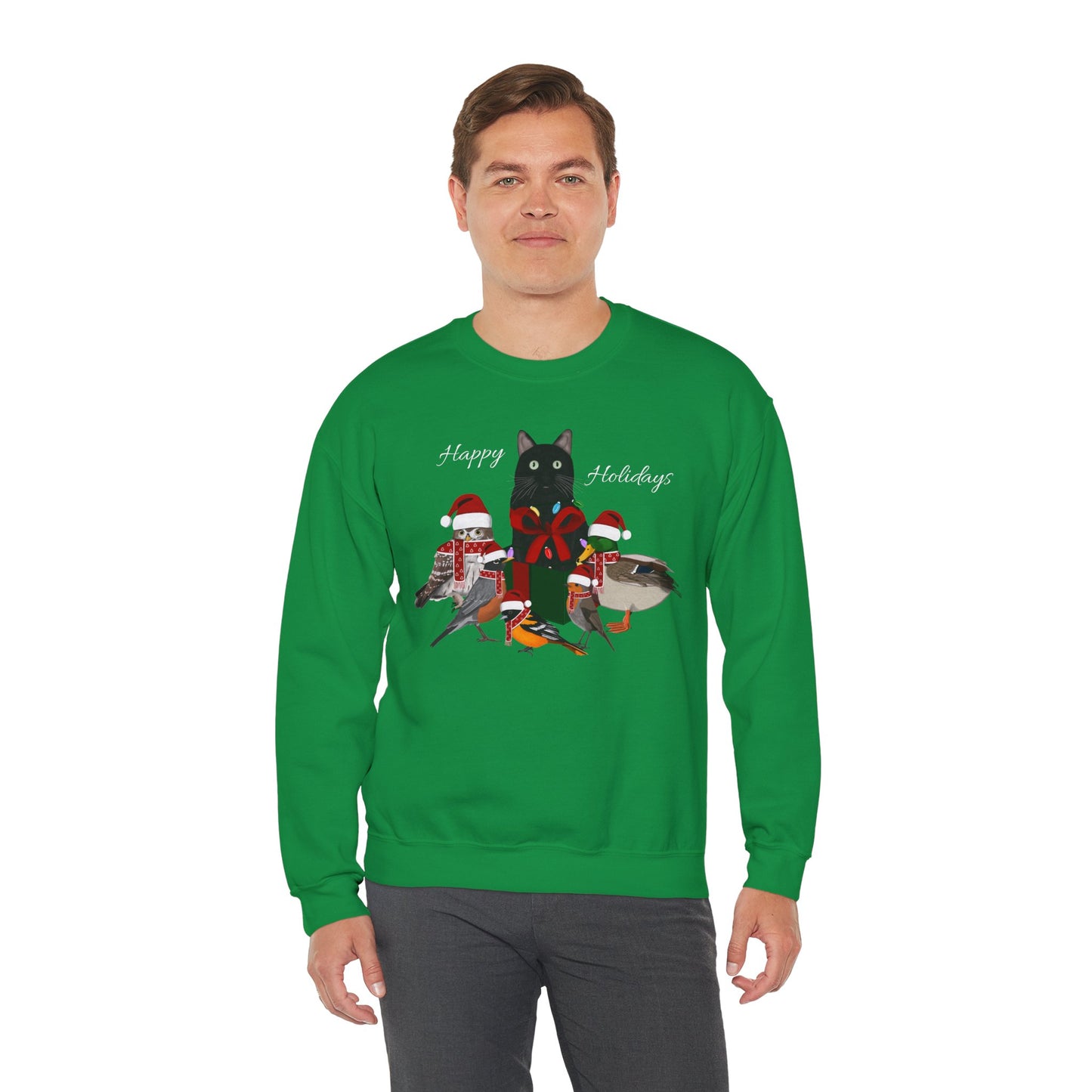 Robin Mallard Oriole Owl with Cat in a Box and Fairy Lights Happy Holidays Christmas Bird Sweatshirt