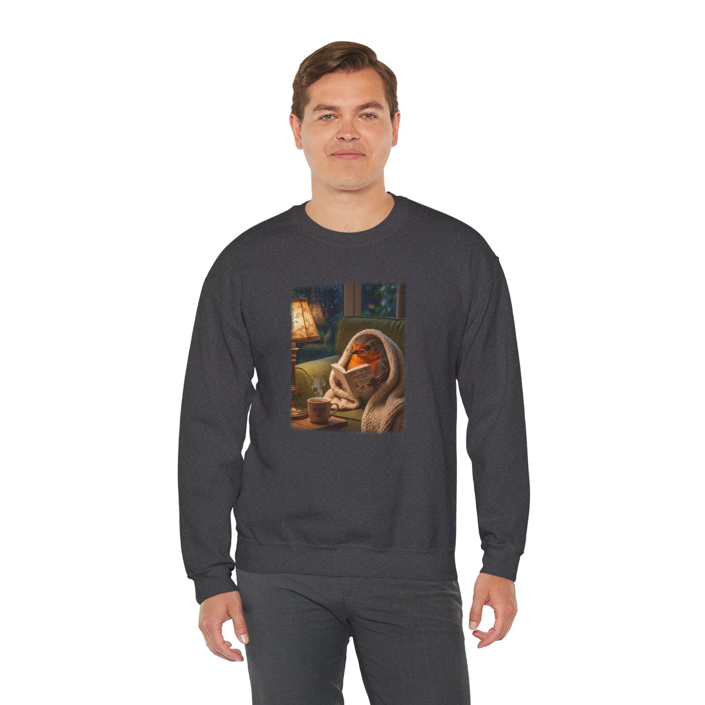 Robin Rosi Reading a Book Premium Sweatshirt for Bird Lovers