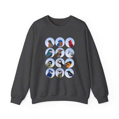 Birds Sweatshirt Bluebird Cardinal Robin Blue Jay Puffin Bird Watching & Bird Lovers