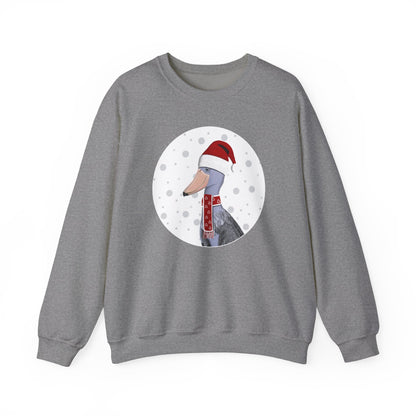 Shoebill Santa Claus Christmas Birdwatcher Biologist Bird Sweatshirt