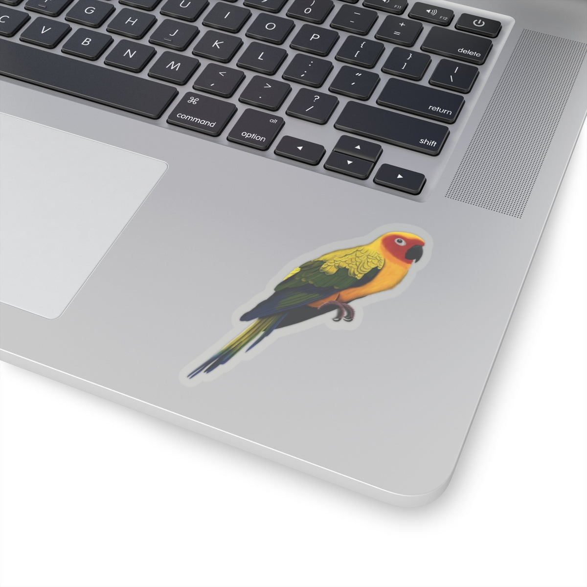 Sun Conure Bird Kiss-Cut Sticker