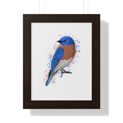 Bluebird Bird Framed Poster