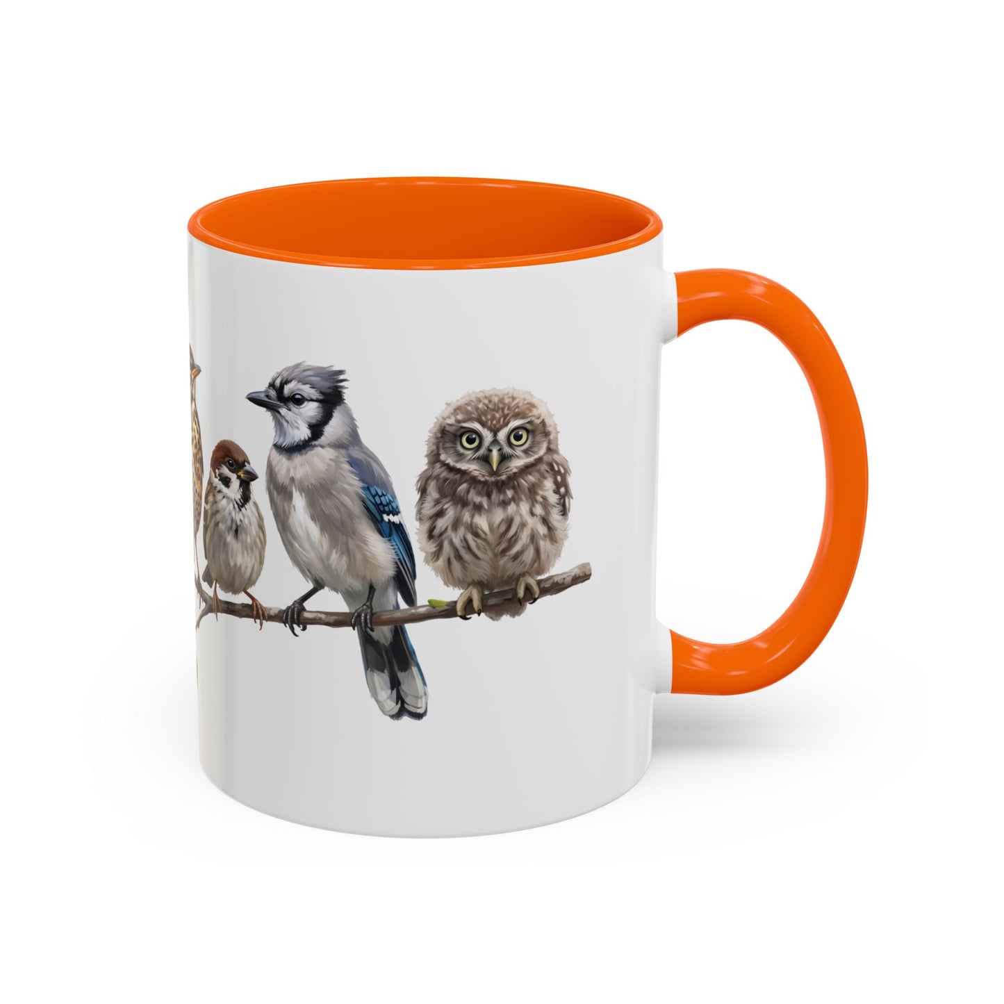 Blue Jay Cardinal Bluebird Little Owl Fledglings Two-Tone Mug | Spring Bird Lover Gift