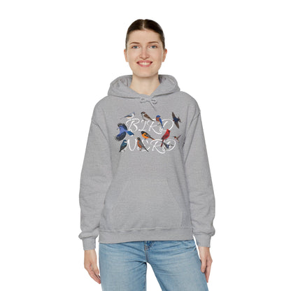 Bird Nerd Blue Jay Cardinal Hummingbird Robin Oriole Hoodie