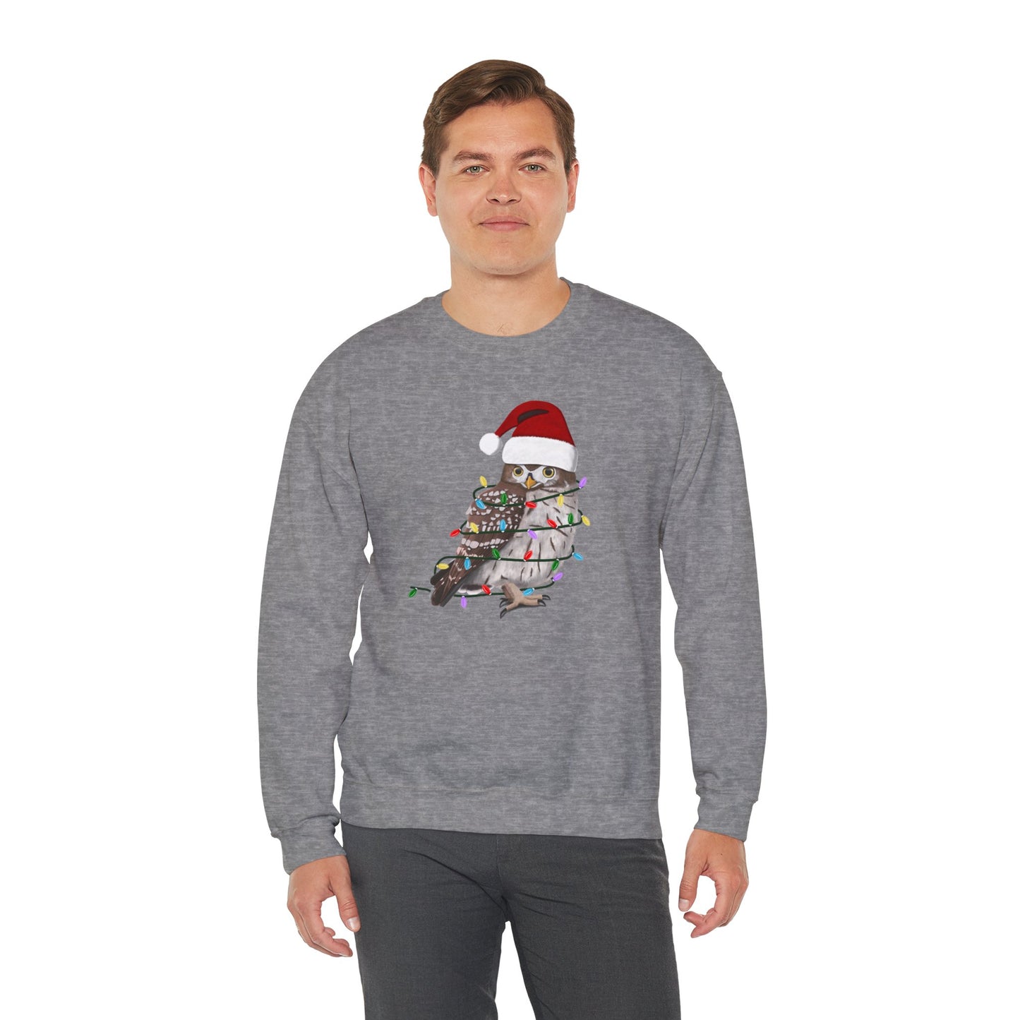 Owl with Fairy Lights Santa Claus Christmas Bird Sweatshirt