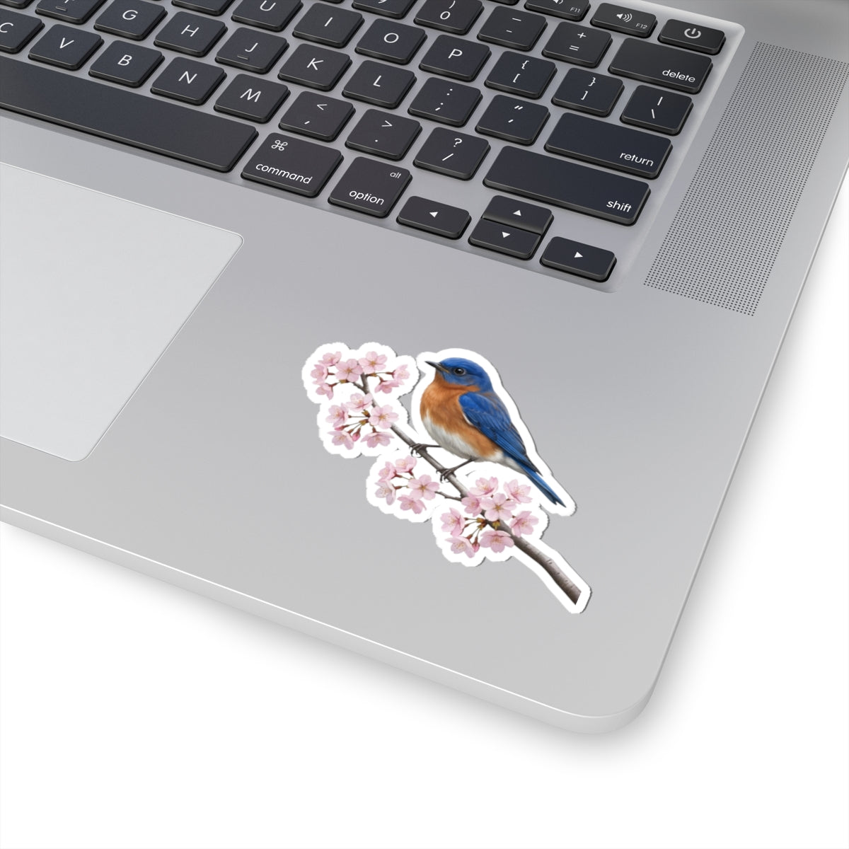 Bluebird Cherry Blossom Sticker | Glossy Floral Bird Decal | Spring Laptop Sticker