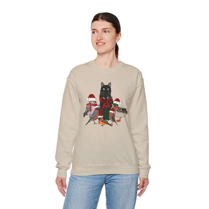 Robin Mallard Oriole Owl with Cat in a Box and Fairy Lights Birdwatcher Christmas Bird Sweatshirt