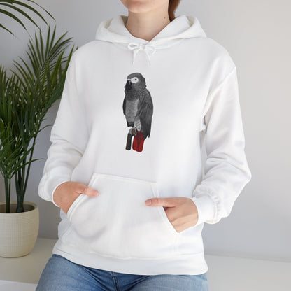 Grey Parrot Bird Birdwatching Birder Hoodie