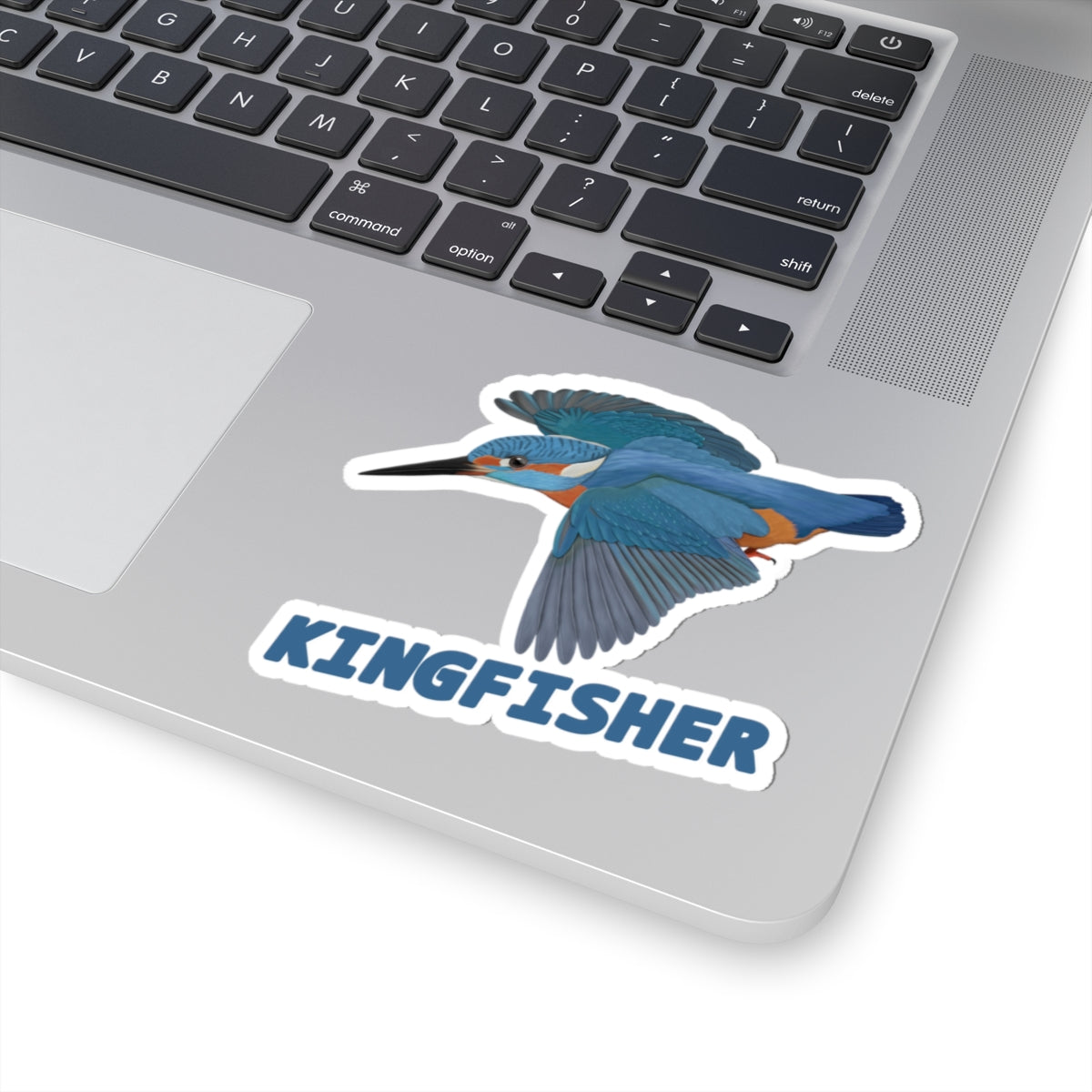 Kingfisher Sticker Bird Lover & Bird Watcher