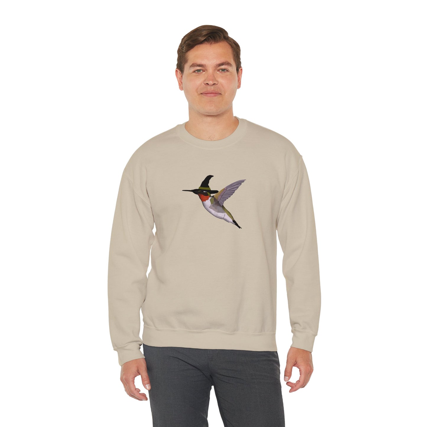 Hummingbird Halloween Birds Witch Birdwatcher Sweatshirt