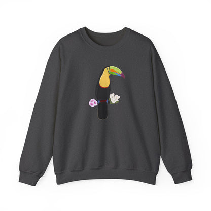 Keel-Billed Toucan Birdlover Ornithologist Bird Sweatshirt