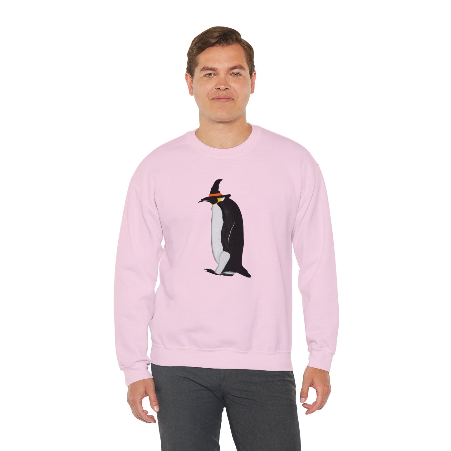 Penguin Halloween Birds Witch Birdwatcher Sweatshirt