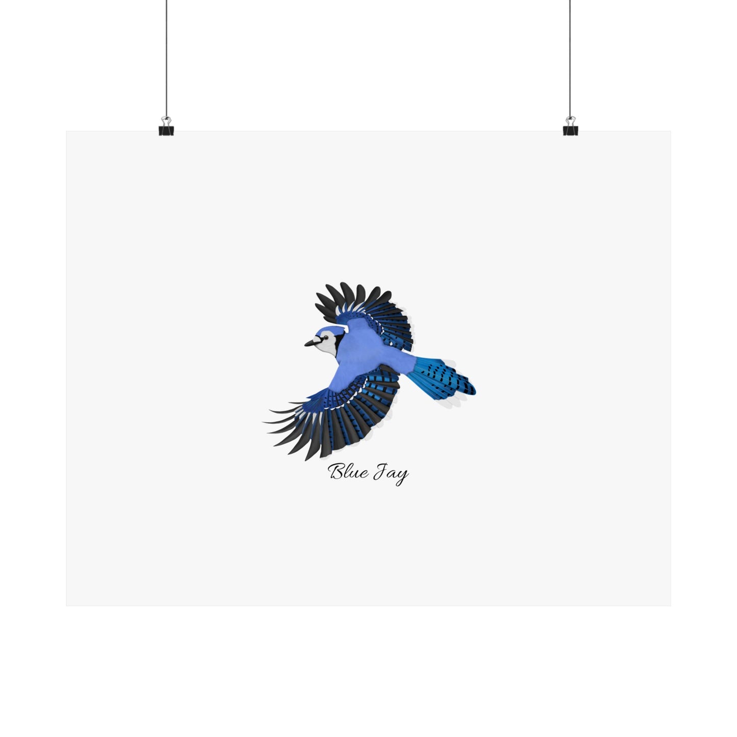 Blue Jay Bird Birding Matte Poster