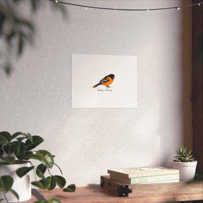 Baltimore Oriole Bird Birding Matte Poster