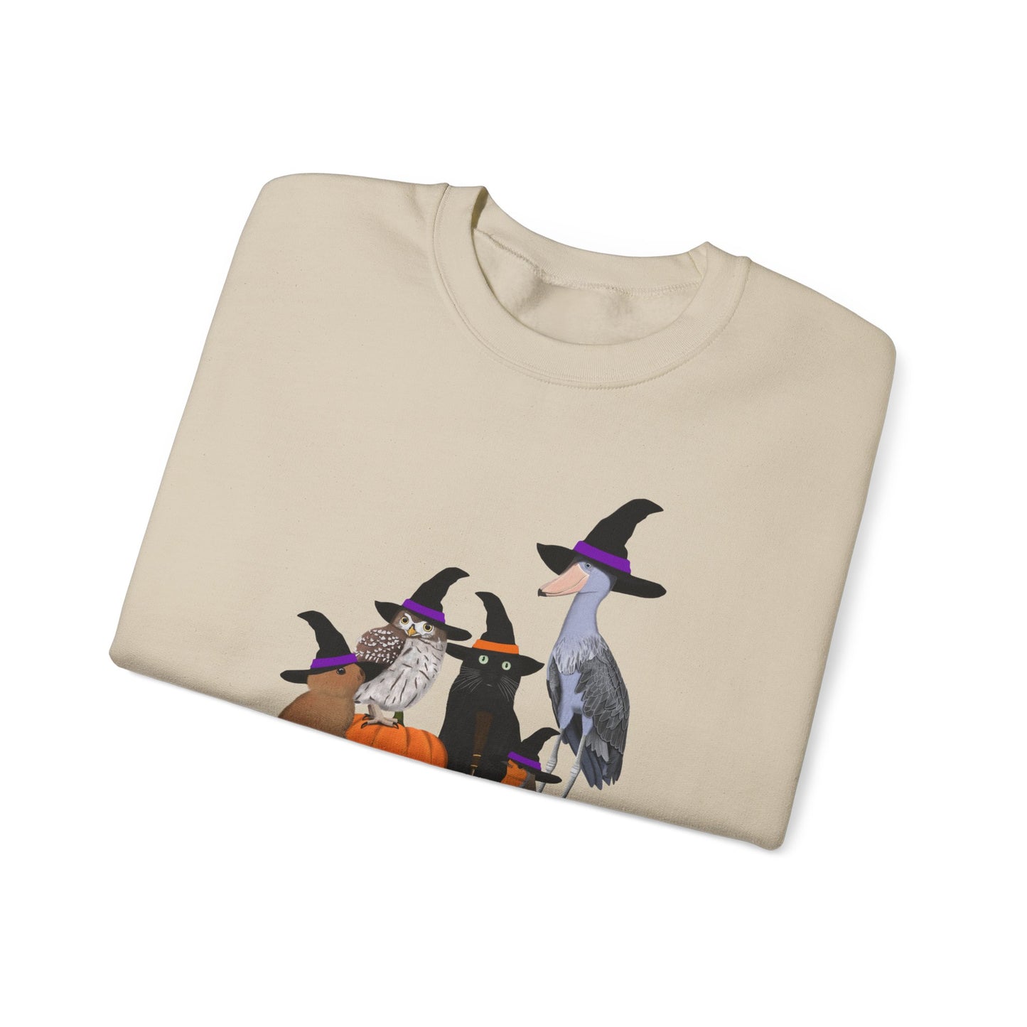 Robin Shoebill Owl Rabbit with Cat Happy Halloween Birds Sweatshirt