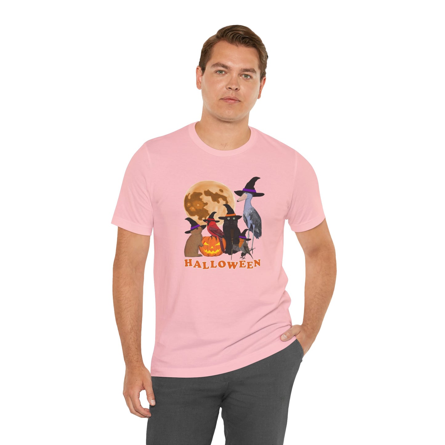 Cardinal Robin Shoebill with Cat and Bunny Halloween Bird T-Shirt