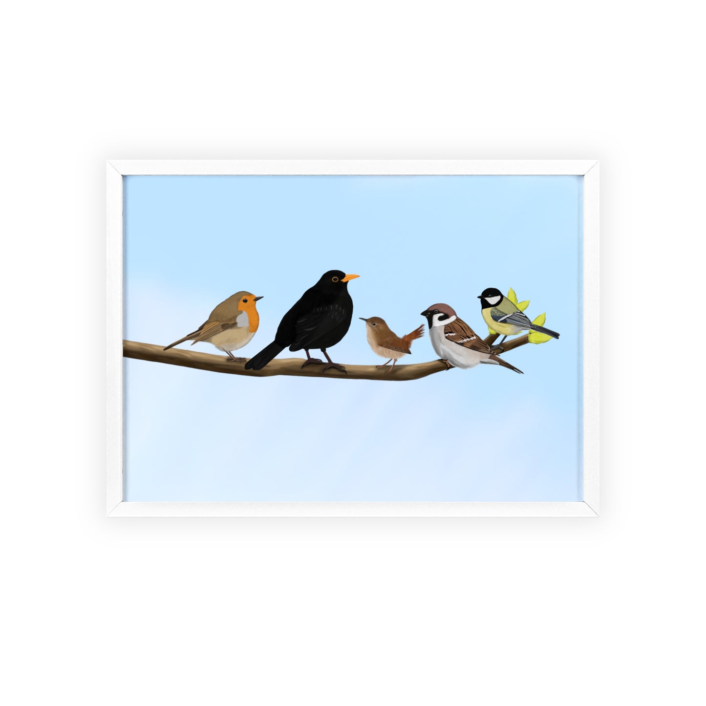 Vogel Poster im Holzrahmen - Vögel auf einem Ast Poster Amsel Rotkehlchen Zaunkönig Spatz Kohlmeise