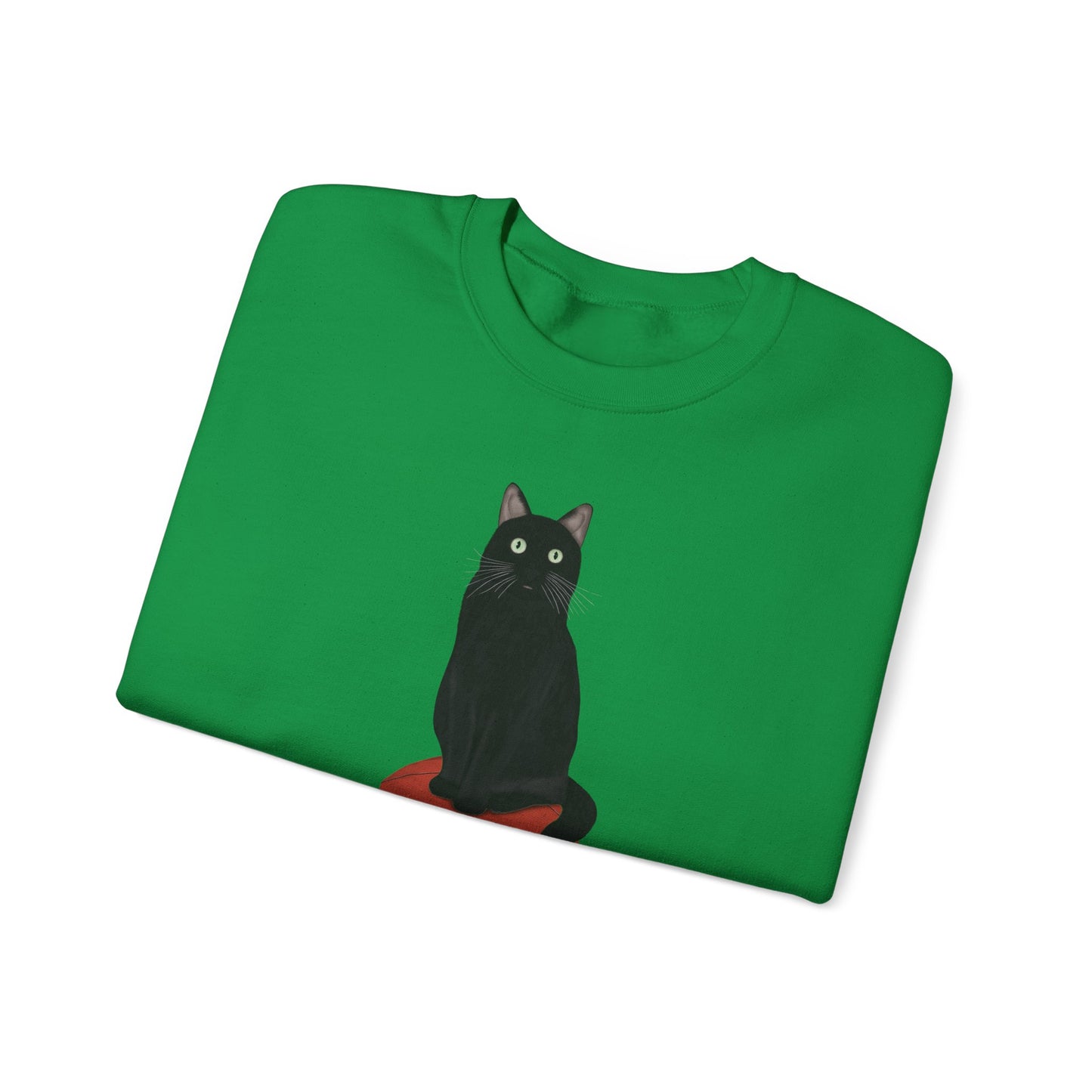 Black Cat with Football Cat Lover Sweatshirt