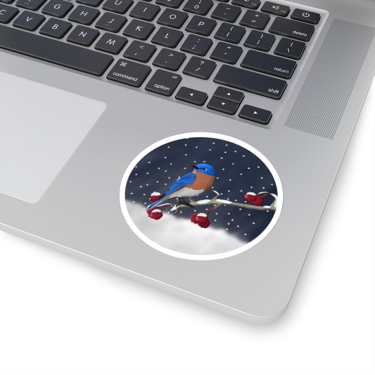 Bluebird on a Winter Branch Christmas Bird Sticker