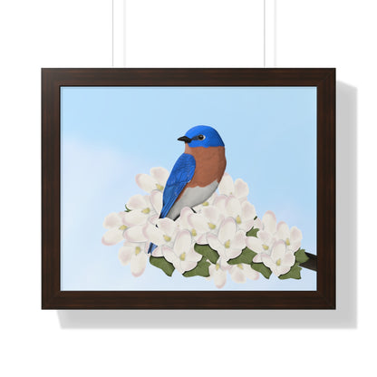 Eastern Bluebird Spring Blossoms Bird Framed Poster