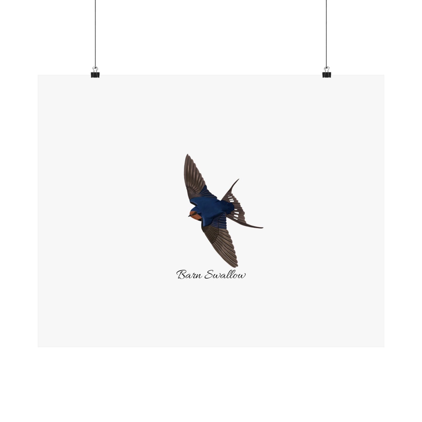 Barn Swallow Bird Birding Matte Poster