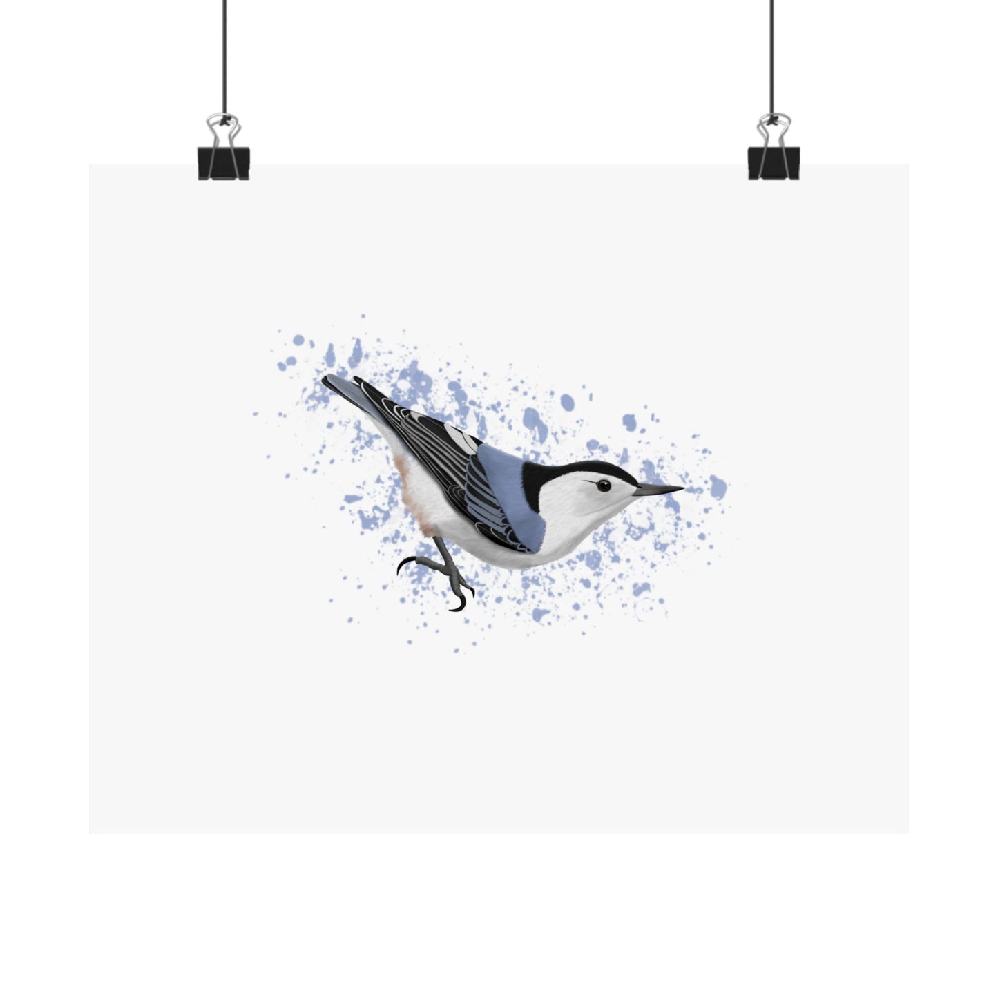 Nuthatch Bird Artwork Matte Poster