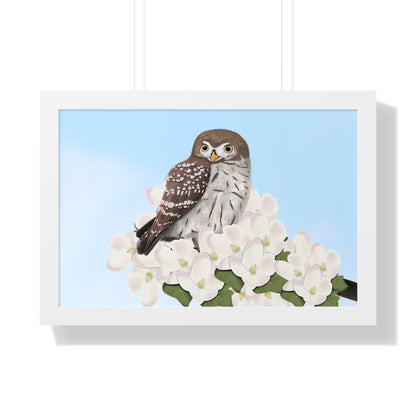 Little Owl Spring Blossoms Bird Framed Poster