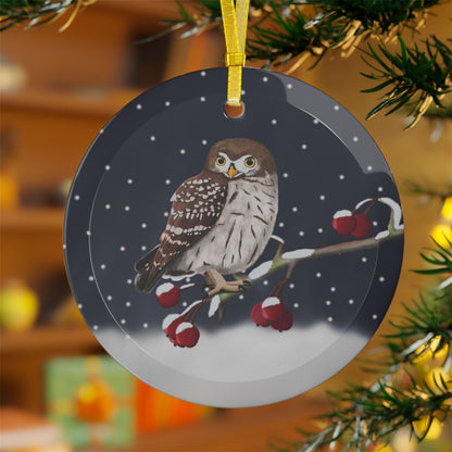 Little Owl on a Winter Branch Christmas Bird Glass Ornament