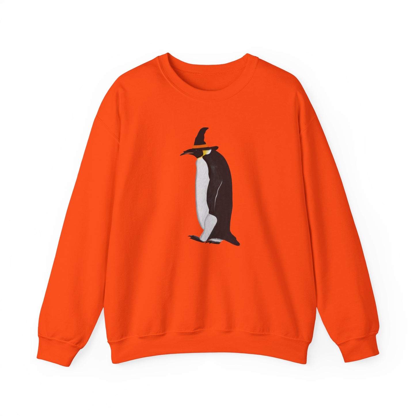 Penguin Halloween Birds Witch Birdwatcher Sweatshirt