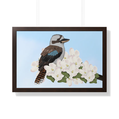 Kookaburra Spring Blossoms Bird Framed Poster