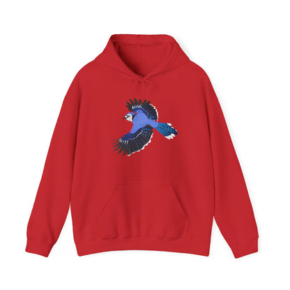 Blue Jay Bird Birdwatcher Biologist Birdlover Hoodie