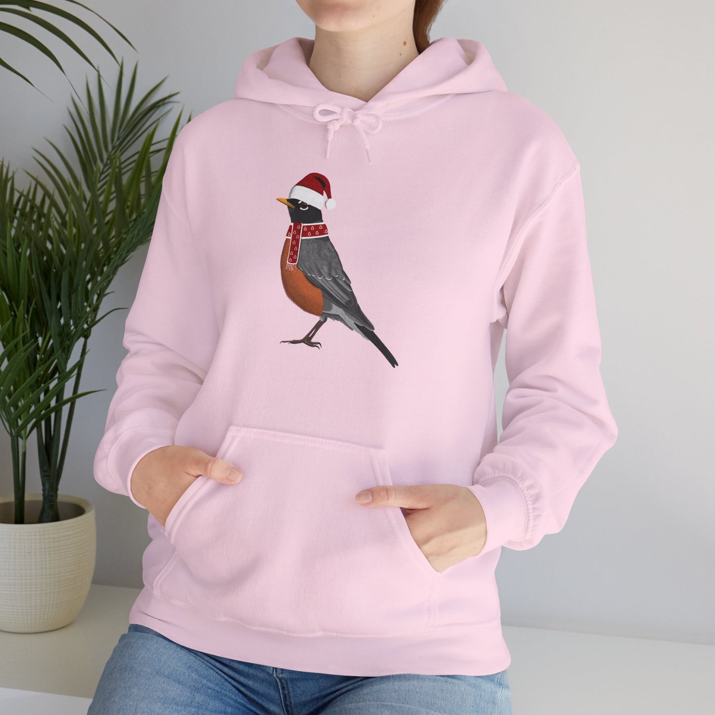 Robin Christmas Bird with Santa Hat Birdwatcher Birdlover Hoodie