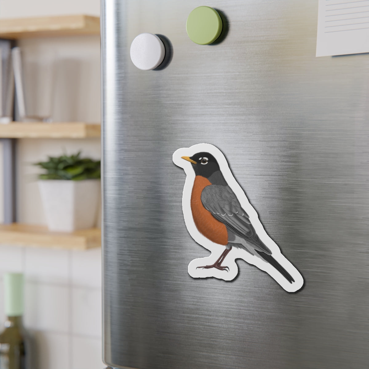 Robin Bird Magnet