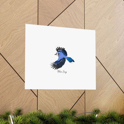 Blue Jay Bird Birding Matte Poster