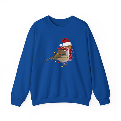 European Robin with Fairy Lights Santa Claus Christmas Bird Sweatshirt