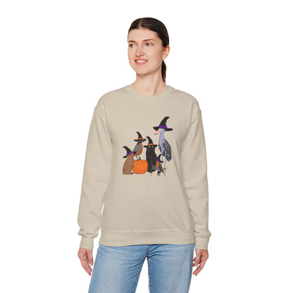 Robin Shoebill Rabbit with Cat Happy Halloween Birds Sweatshirt