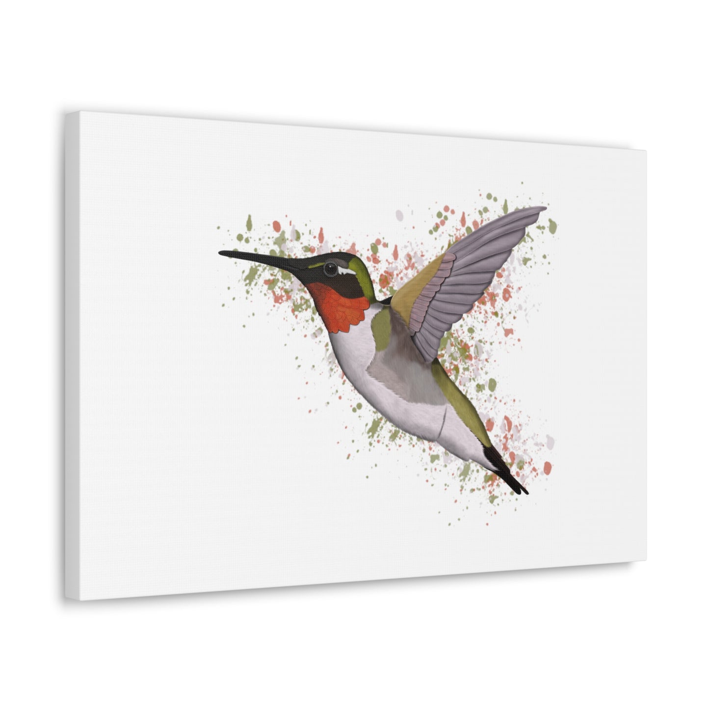 Hummingbird Bird Canvas Gallery Wrap White - jz.birds