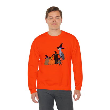 Robin Shoebill Oriole Rabbit with Cat Halloween Birds Sweatshirt