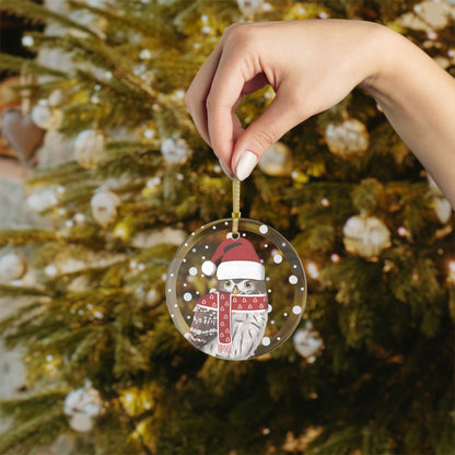 Owl as Santa Claus Christmas Bird Glass Ornament Transparent