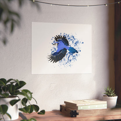 Blue Jay Bird Artwork Matte Poster