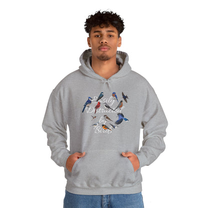 Easily Distracted by Birds Blue Jay Cardinal Hummingbird Hoodie