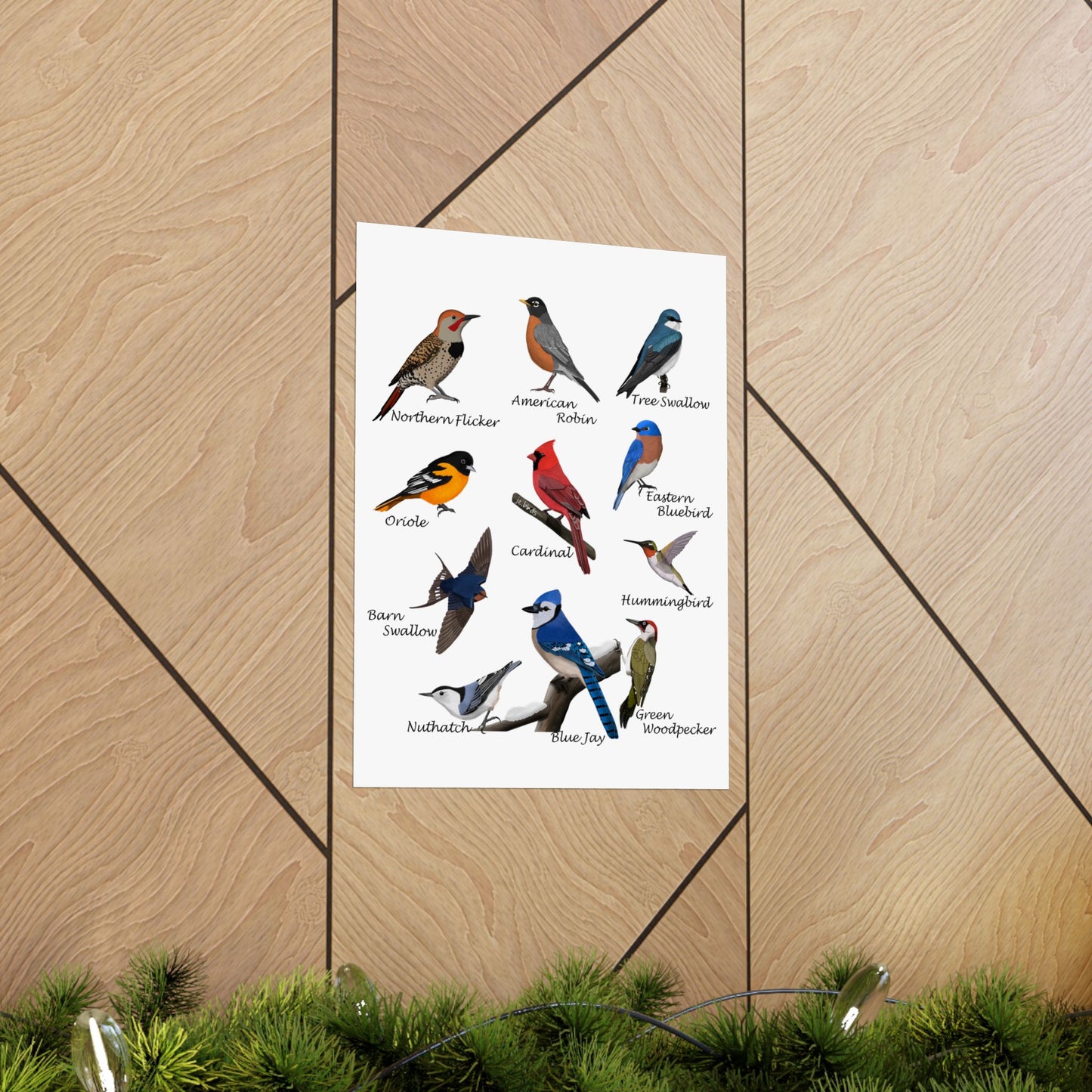 Backyard Birds Blue Jay Cardinal Hummingbird Bluebird Oriole Robin Matte Bird Poster