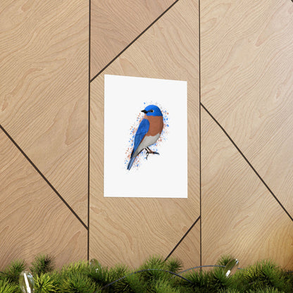 Bluebird Bird Artwork Matte Poster